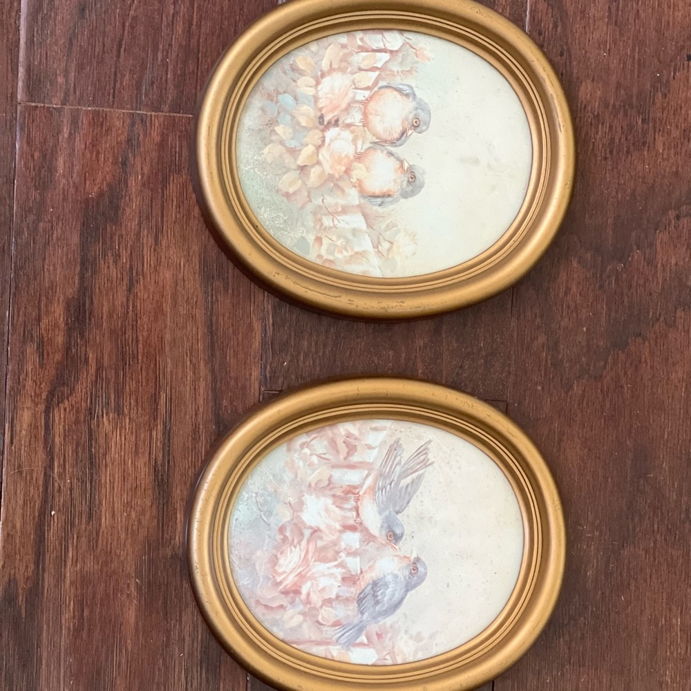Vintage Watercolor oval frame bird prints.